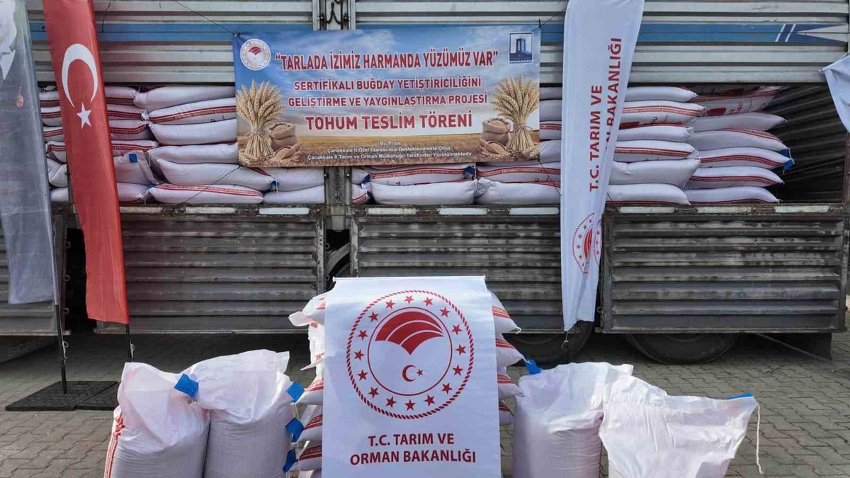 Gelibolu ve Eceabat\'ta 55 üreticiye 62 bin 500 kg Esperia buğday tohumu dağıtıldı