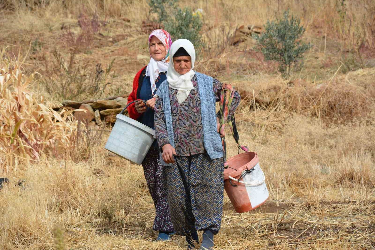 Demirci\'de kadınlar yılda 450 ton çitlembik toplayıp ilaç firmalarına satıyor