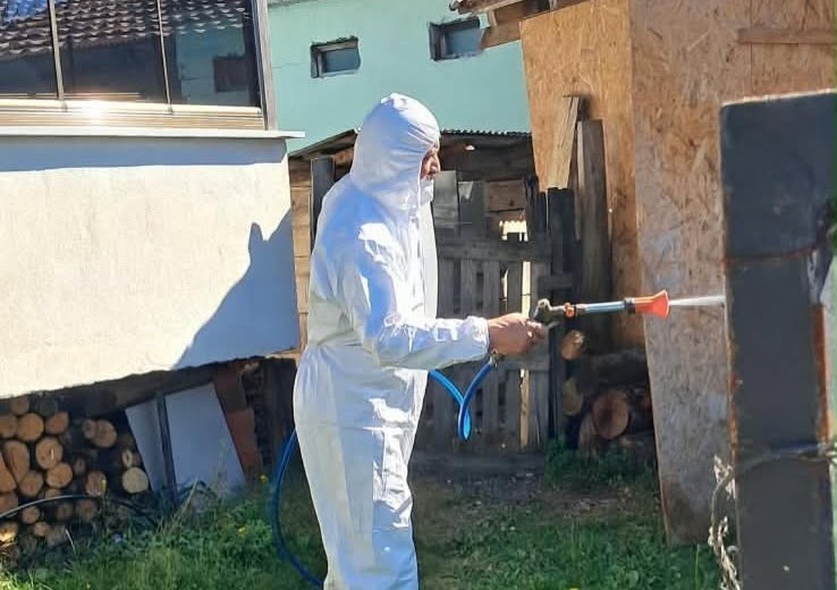 Düzce Kaynaşlı\'da kahverengi kokarcaya karşı kışlak ilaçlaması yapıldı