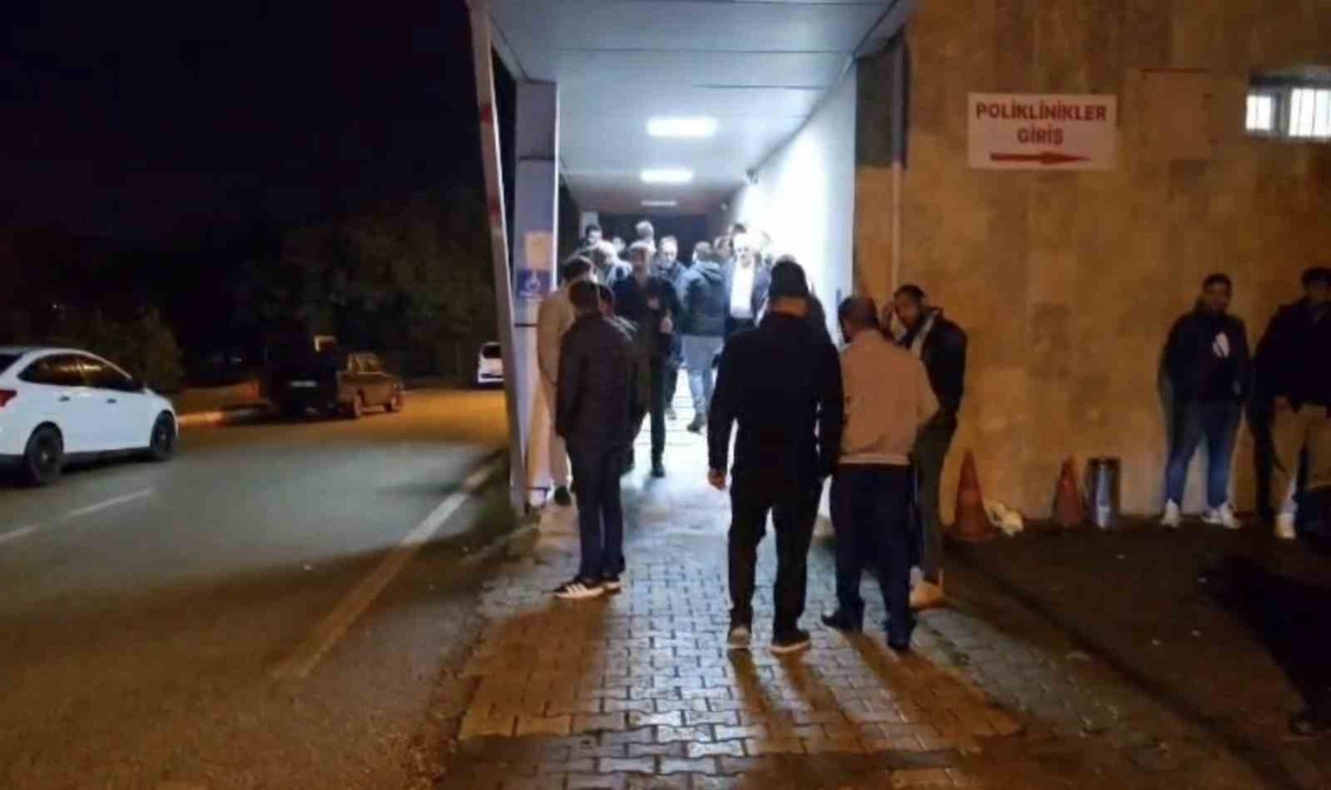 Elazığ Palu\'da amca ve yeğenine otomobil çarptı, amca öldü, yeğeni ağır yaralı