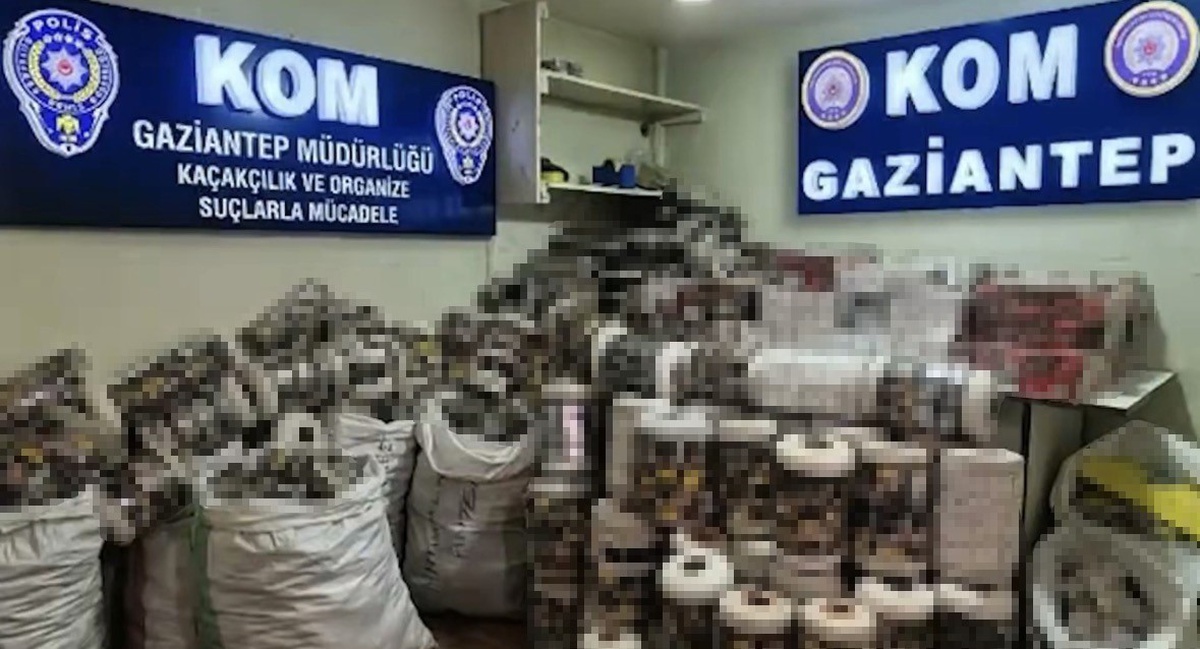 Gaziantep\'te depoya düzenlenen operasyonda 14 bin paket kaçak sigara ele geçirildi