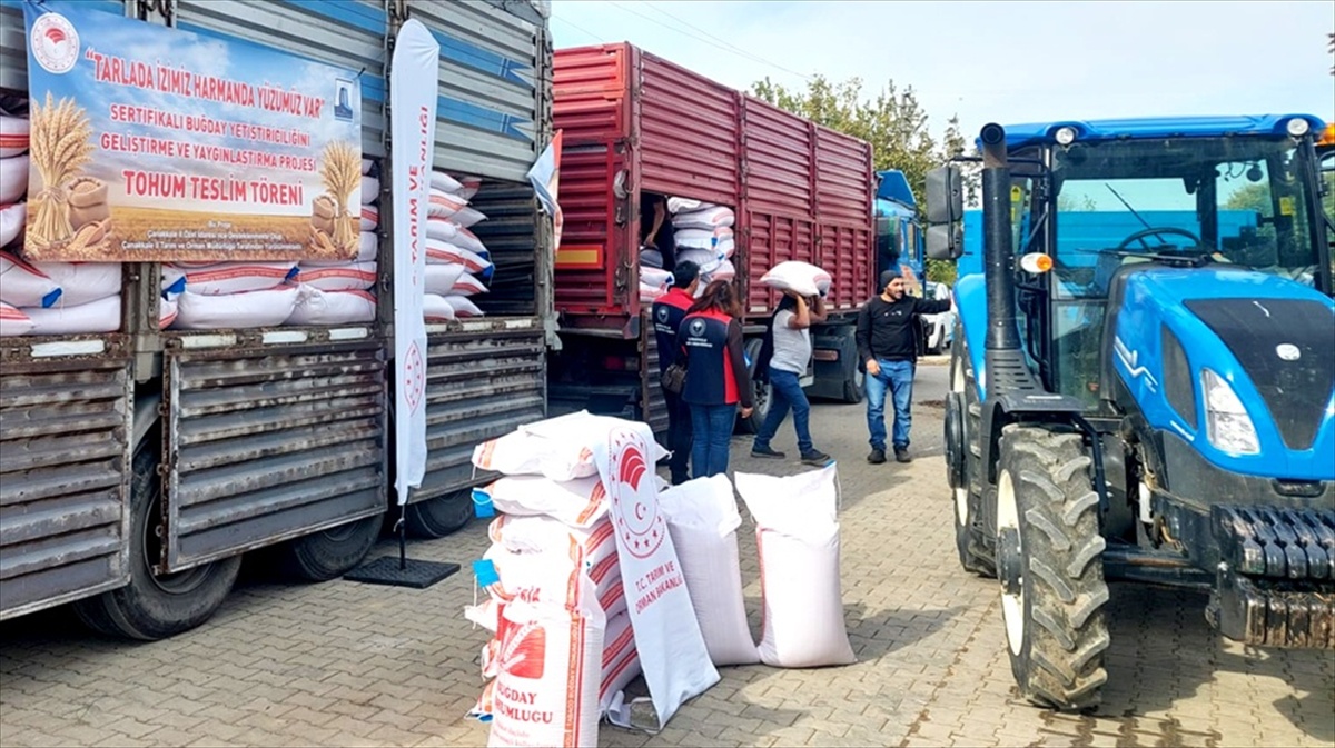 Gelibolu\'da 52 üreticiye yüzde 50 hibeli 61 ton sertifikalı buğday tohumu verildi