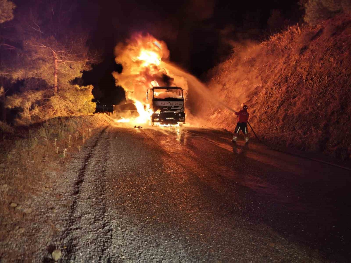 Havran\'da seyir halindeki kamyon alev aldı, itfaiye ve orman ekipleri söndürdü