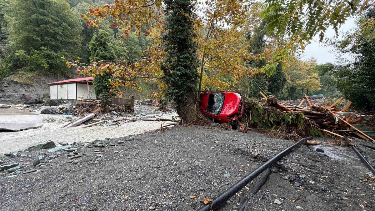 Sakarya Sapanca\'da sel ağaç ve elektrik direklerini devirdi, kulübeler yıkıldı