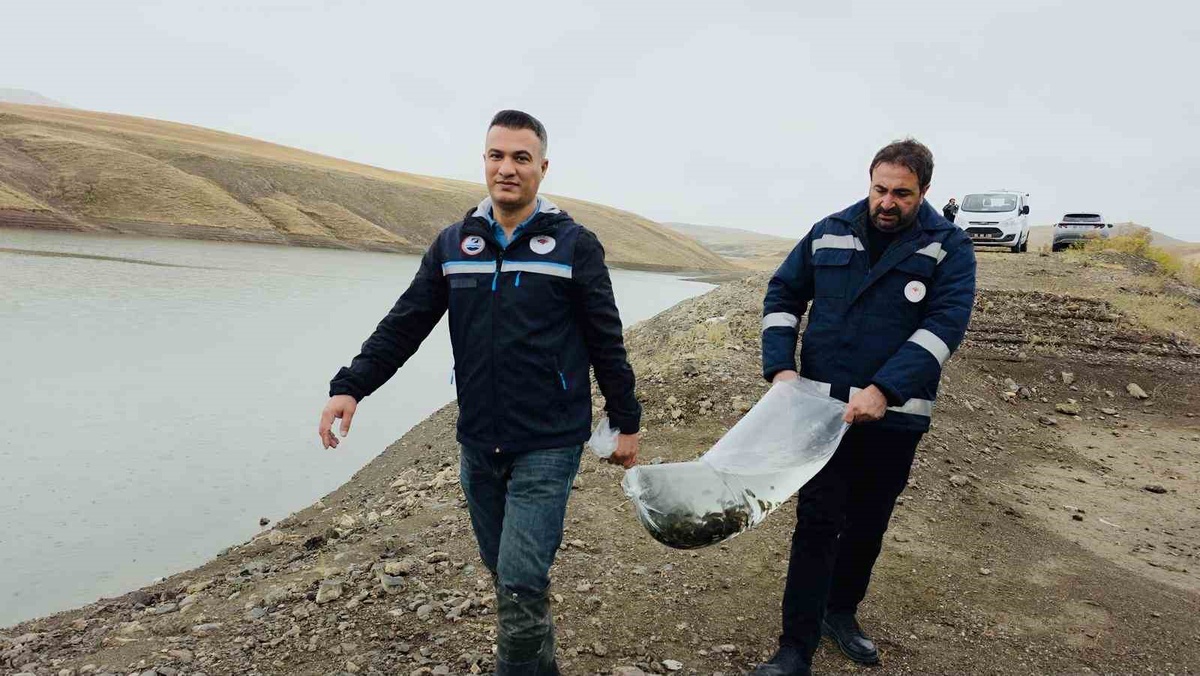 Van\'da son bir ayda 35 balıkçı teknesi denetlendi, 700 bin yavru sazan bırakıldı