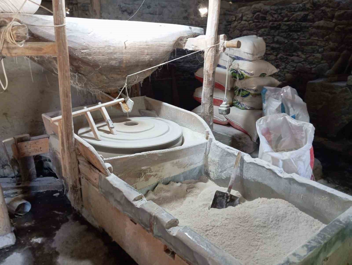 Kaymakçı, Alucra\'da komşu talebiyle ata tohumundan un üretimini genişletti