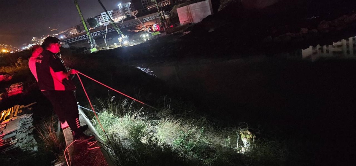 Antakya\'da Asi Nehri\'ne düşen koyun itfaiyenin halatlı müdahalesiyle kurtarıldı