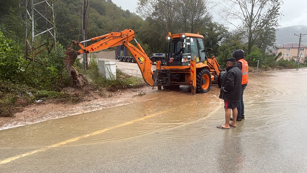 Bartın\'da fırtınada 10\'u aşkın ağaç yola devrildi, 2 saat kapalı yol açıldı