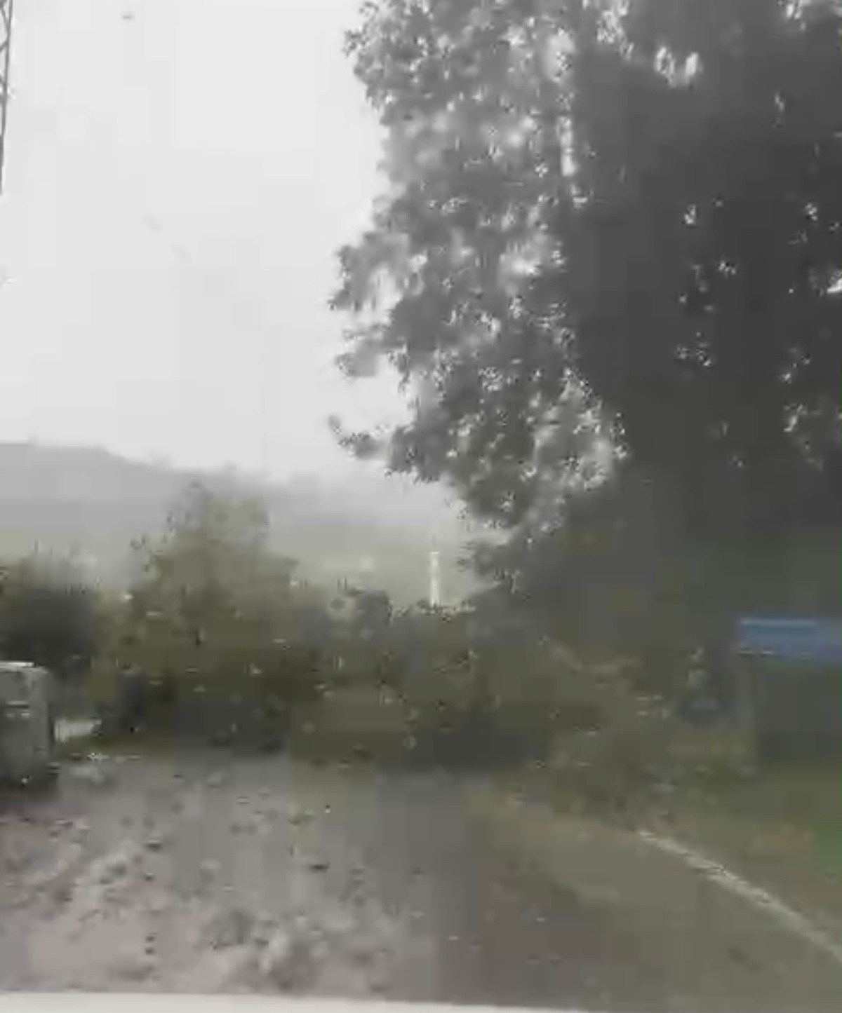 Bartın\'da Kuvvetli Rüzgar: Ağaçlar Devrildi, Yol Kapandı