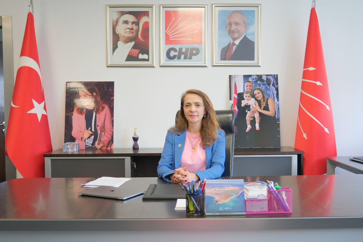 CHP\'li İlgezdi, aile hekimliğinde zorunlu uzaktan muayeneyi TBMM\'ye taşıdı