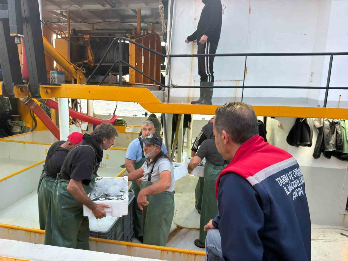 Didim\'de hamsi kota denetimleri 2026-2027 av sezonunda sürüyor