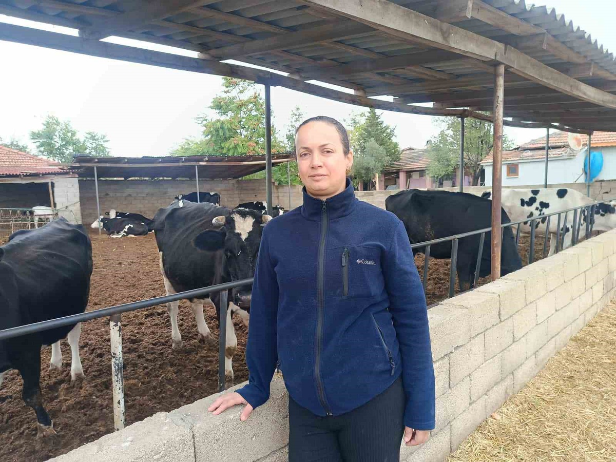 Edirne Havsa\'da kadın çiftçi, Genç Çiftçi Projesi\'yle sürüsünü 30 başa çıkardı