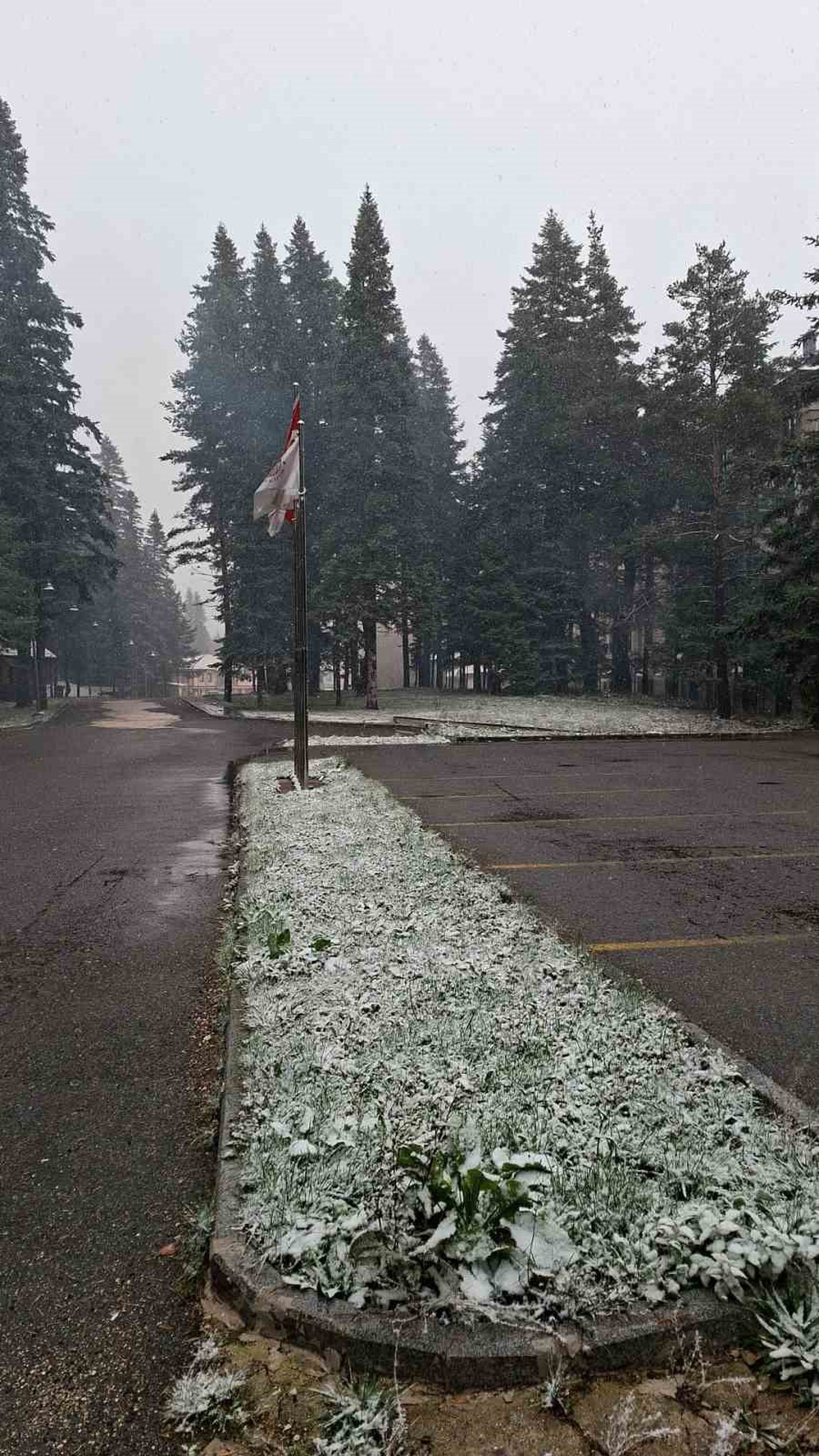 Ilgaz Dağı\'nda kar yağışı başladı, Milli Park\'ta gün boyu etkili olması bekleniyor