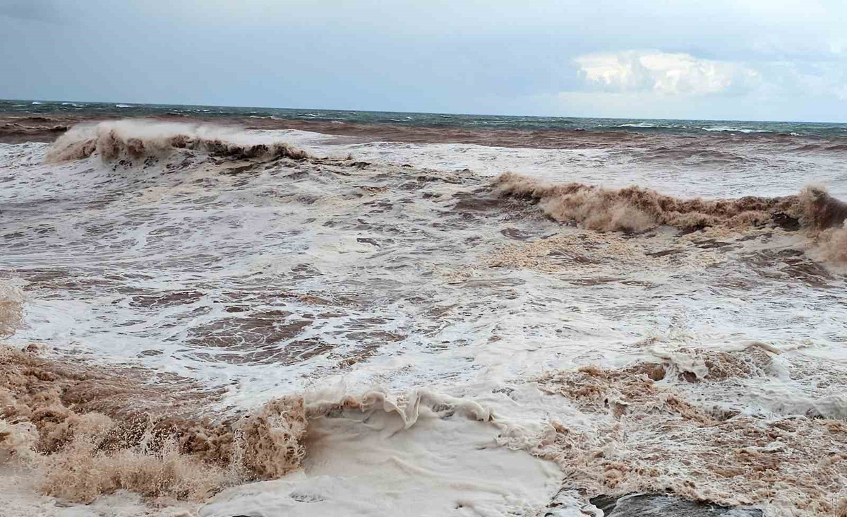 Kastamonu\'da fırtına çok sayıda ağacı devirdi, rüzgar saatte 116 kilometreye ulaştı