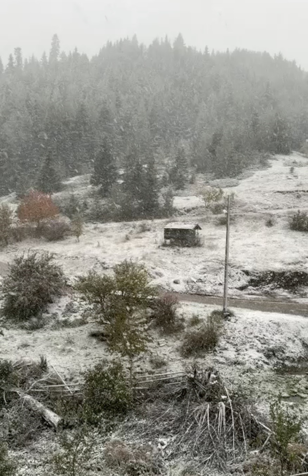 Kastamonu İhsangazi\'de yüksek rakımlı köylerde kar yağışı Sülük köyünde görüntülendi