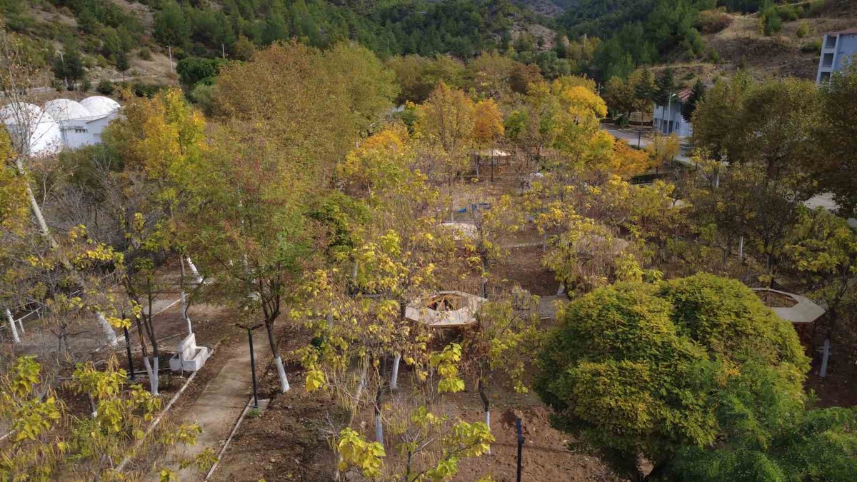 Manisa Demirci\'de sonbahar renkleri meşe ve kavak ağaçlarında dronla görüntülendi