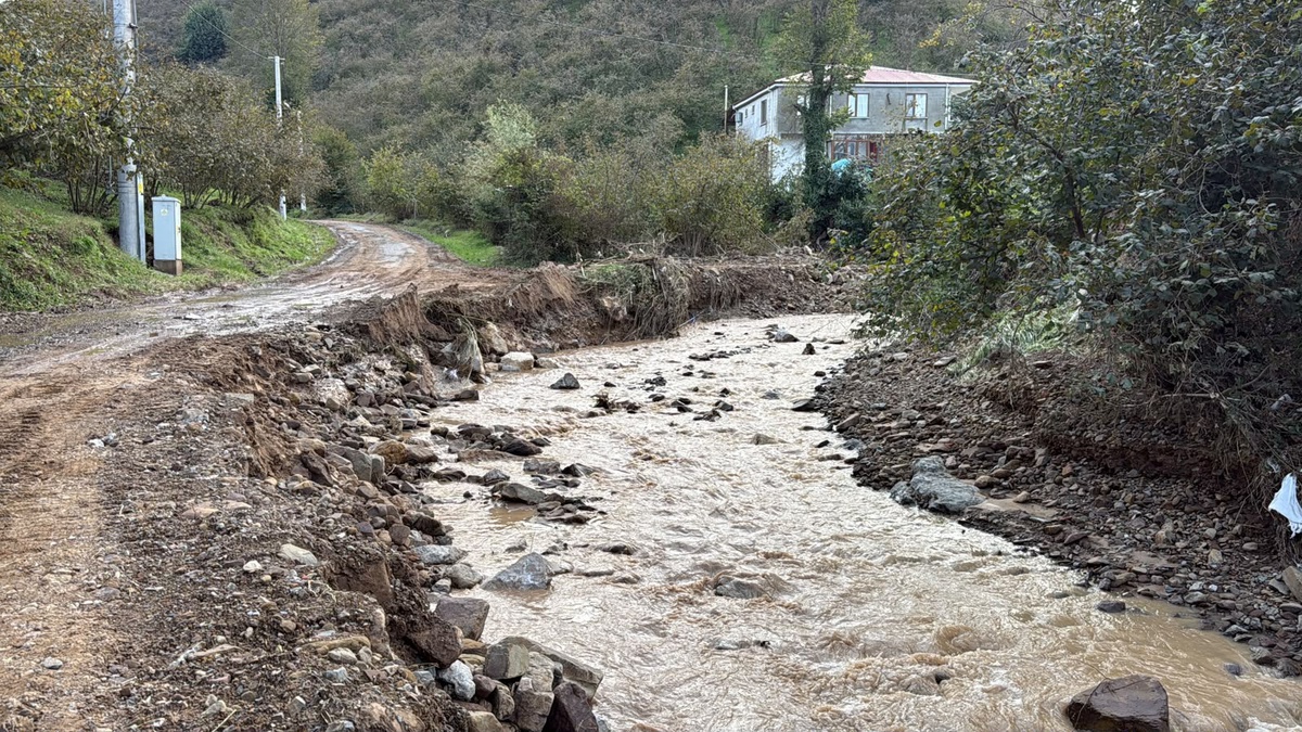 Sakarya Karasu\'da Darıçayırı Mahallesi 5 ayda 4\'üncü kez baraj suları altında kaldı