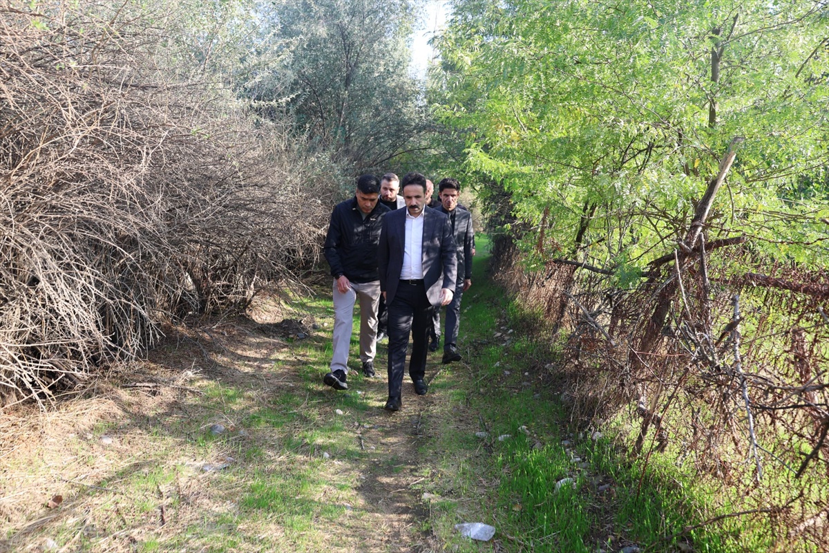 Yenişehir Kaymakamlığı Dicle kıyısında Muhammediye Gülü projesi hazırladı
