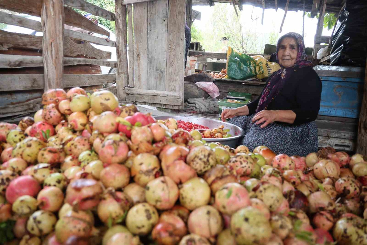 Adana Kozan\'da üç kuşak, 1,5 ton narı geleneksel yöntemle nar ekşisine dönüştürüyor