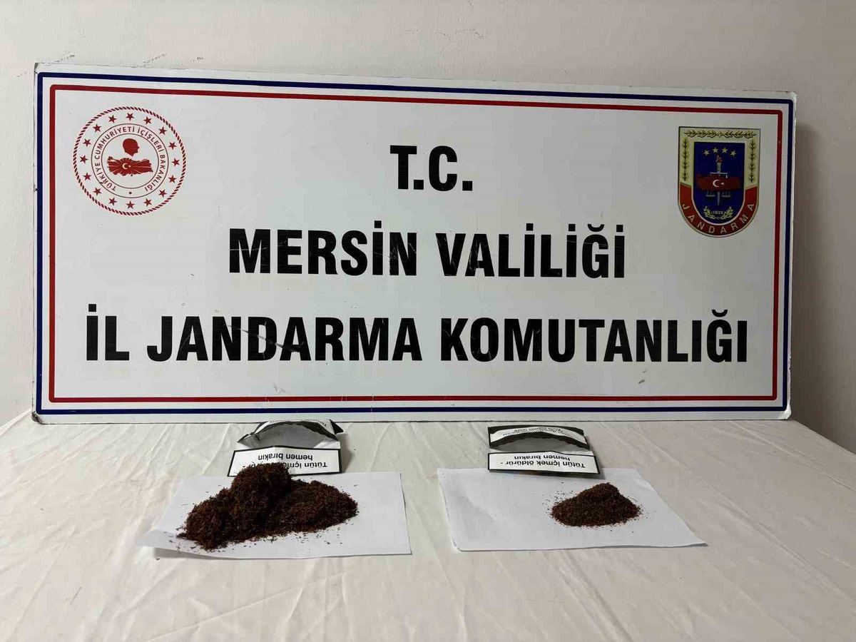 Anamur\'da jandarmanın son bir haftada yakaladığı 7 şüpheliden 3\'ü tutuklandı