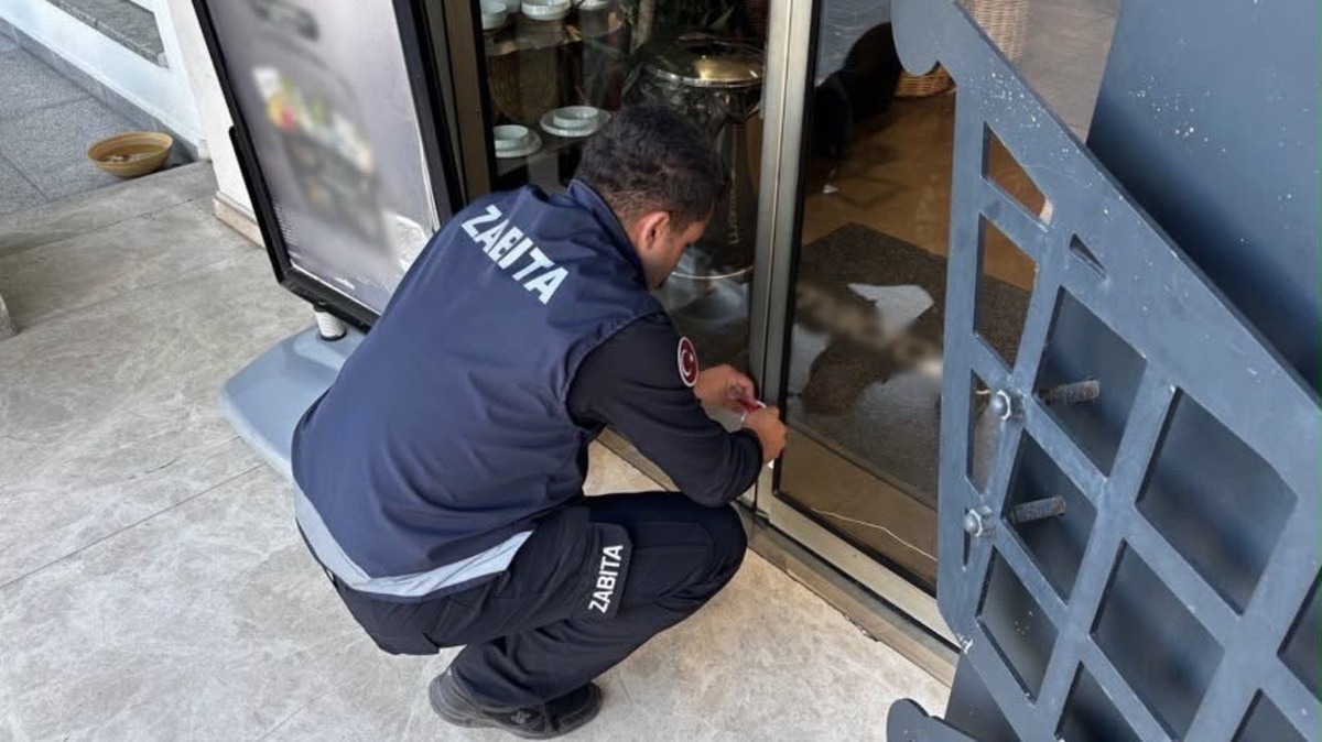 Bodrum\'da son kullanma tarihi geçmiş ürün satan 8 işletme 3 gün kapatıldı