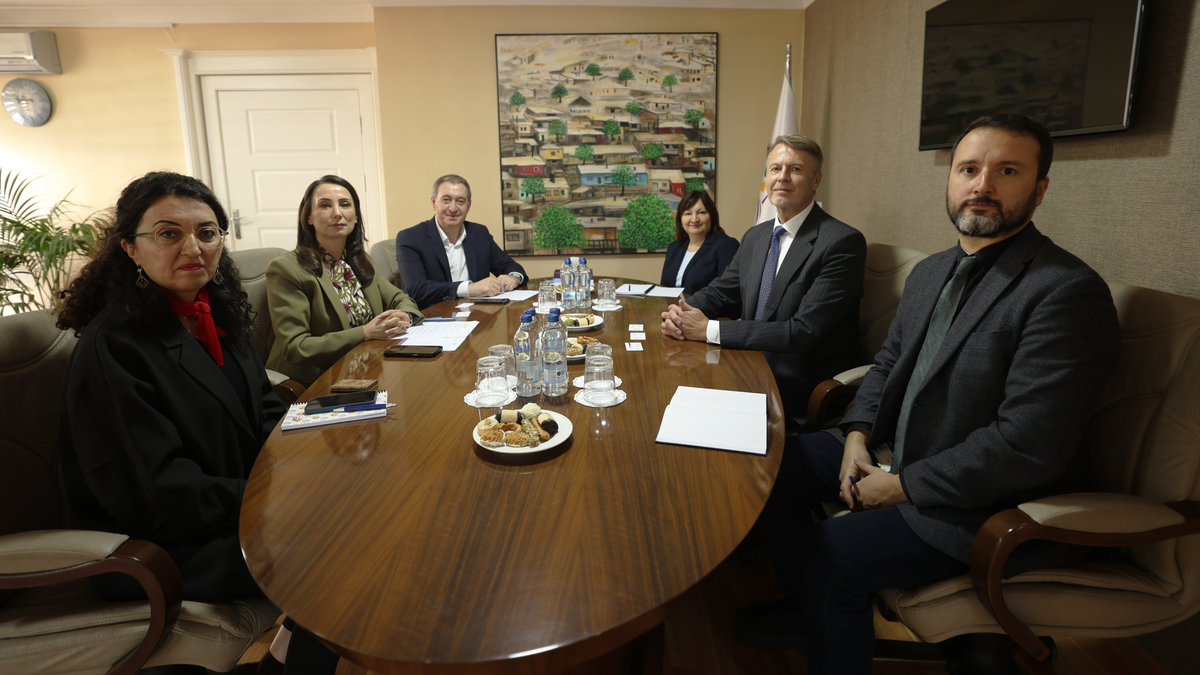 DEM Parti Eş Başkanları, AB Delegasyonu Başkanı Orav\'la AİHM kararlarını görüştü