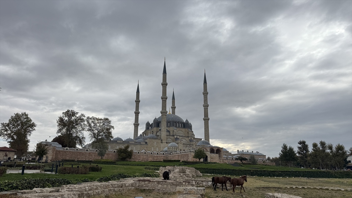 Edirne\'de başıboş 3 at Selimiye Meydanı\'nda görüldü, belediye ekipleri harekete geçti