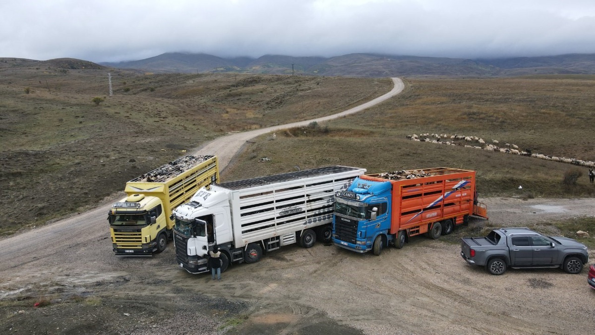 Erzincan\'da Şavak aşireti üreticileri 4 aylık yayla sezonunu halay çekerek tamamladı
