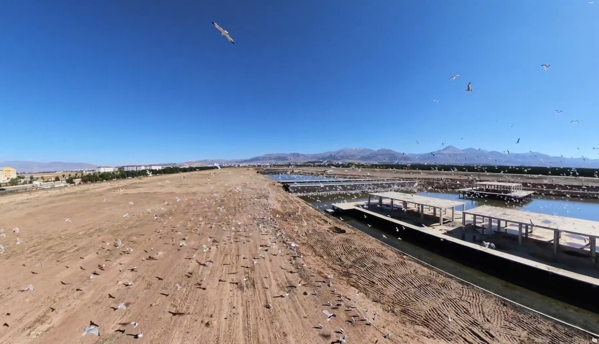 Erzurum\'da inşaat alanına toplanan binlerce martı dronla görüntülendi