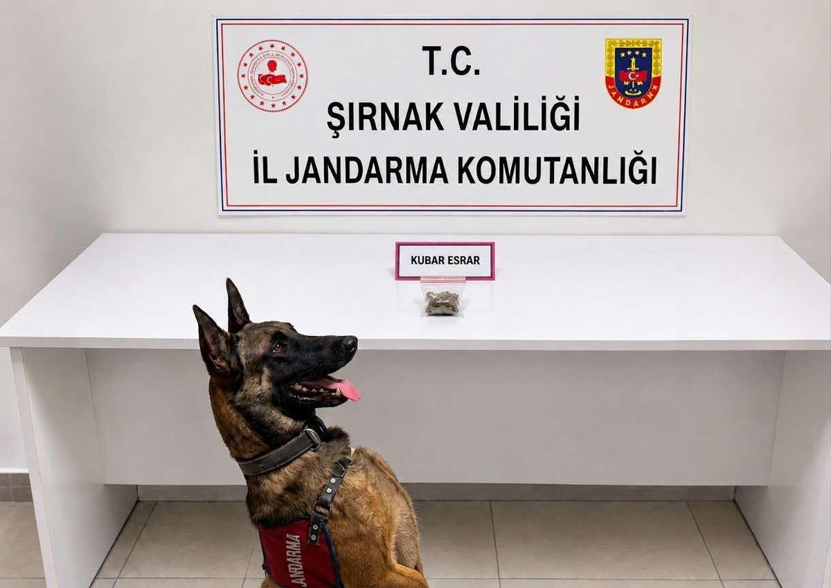 Şırnak\'ta son bir haftada aranan 49 şahıs yakalandı, 12 kişi tutuklandı