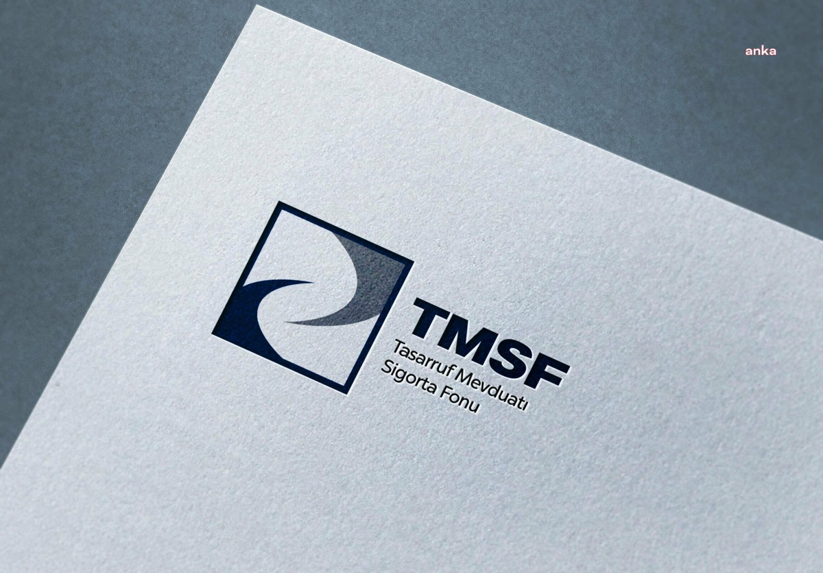 Tera Yatırım Teknoloji Holding\'e TMSF kayyum atandı, başkanlığa Şirin getirildi