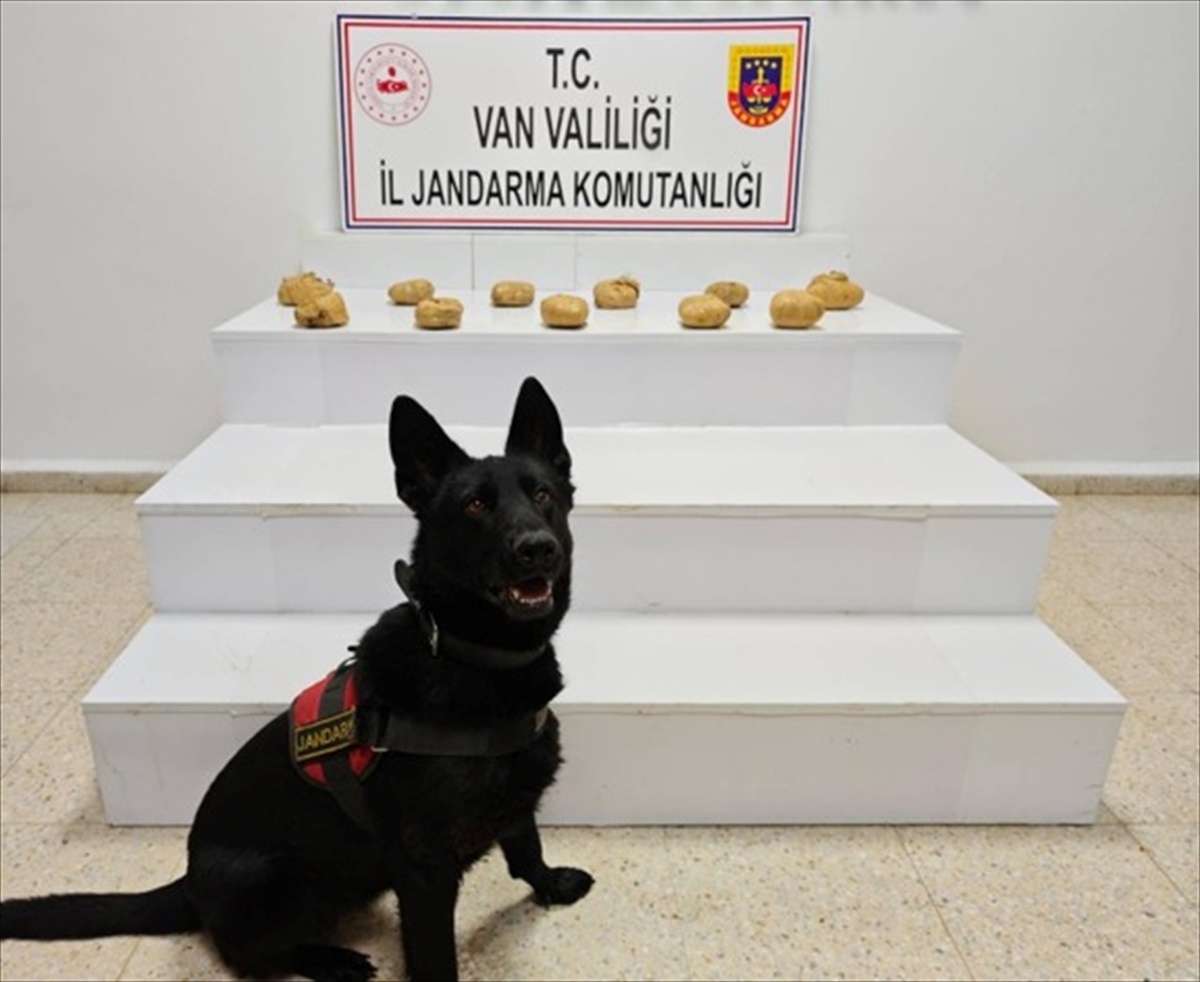 Van Başkale\'de jandarma, düzenlenen operasyonda 11 kilo 958 gram esrarı ele geçirdi