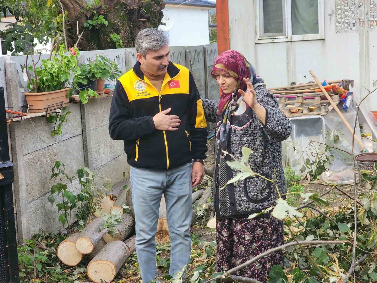 Düzce\'de evin üzerine devrilen ağaç belediye ve özel idare ekiplerince kaldırıldı