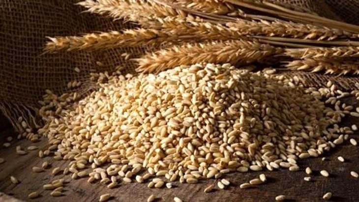 TMO, ekmeklik buğday ve algı fiyatlarına bindirim geldiğini açıkladı