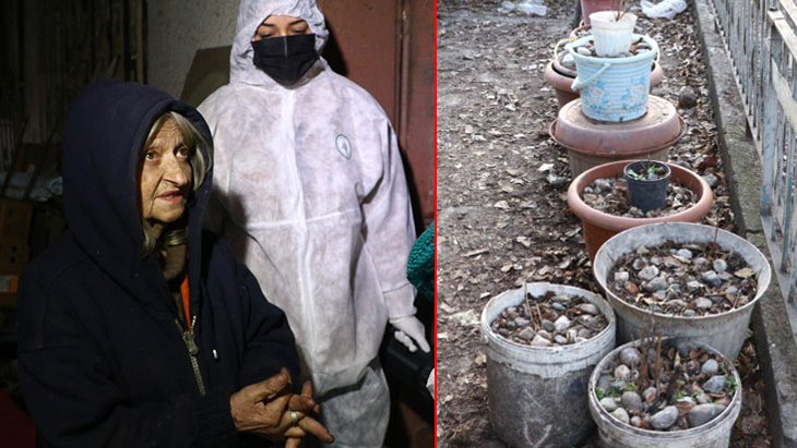 Ankara’da yılgı evi Yaşlı kadın, geberik pisik ve köpekleri saksılara gömmüş