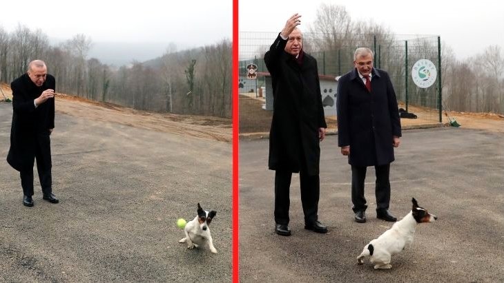 İşte Cumhurbaşkanı Erdoğan’ın barınakta oynadığı köpek Maylo’nun hikayesi