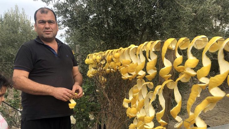 Limonun kabuğu kendinden değerli Kilosu 7 liradan satılıyor