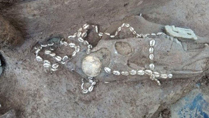 Çinli arkeologlar 3 bin yıllık mezarı kazdı, kalıntılar yüzünden kazmayı küreği bırakıp sevinmeye başladılar