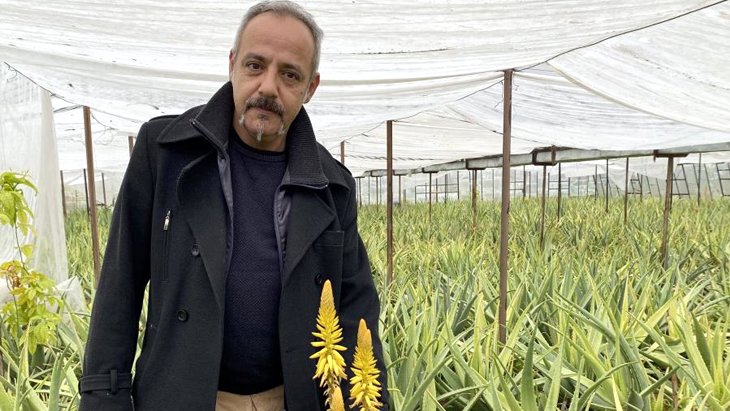 Yurt dışında görüp Antalya’da aloe vera yetiştirmeye başladı Yıllık kazancı 15-20 milyon TL’yi buluyor