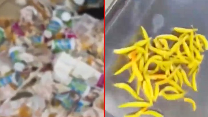 Yer İstanbul Restoranda çöpe atılan biberleri, insanlara yedirmek için tek tek topladılar