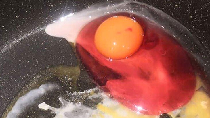 Evde kırılan yumurta, kırmızı aktı Uzmanlar uyardı: “Görürseniz sakın tüketmeyin“