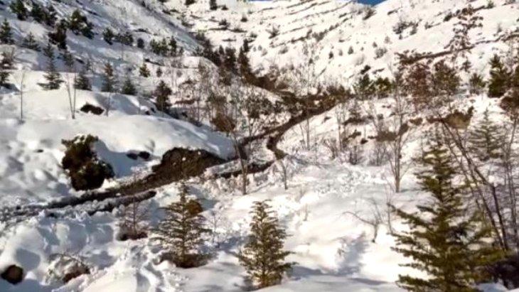 Artvin’de dehşete düşüren olay Boğarak katlettiği eşini boş araziye gömüp 3 yıl sonra teslim oldu