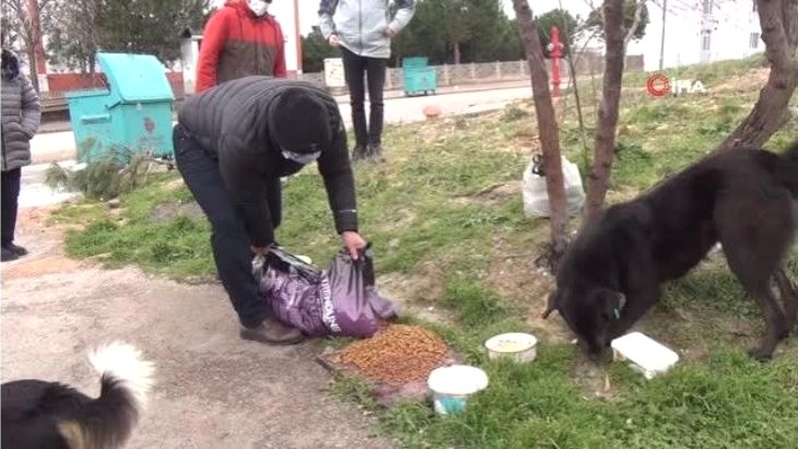 Bandırma Kent Konseyi sokak hayvanlarını unutmadı