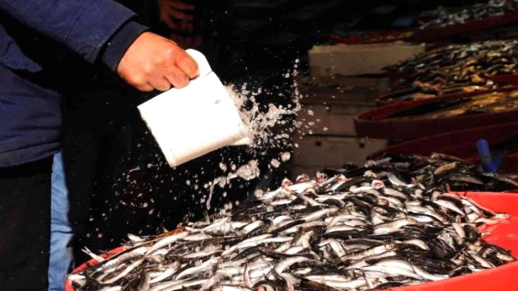 Fiyat artışları vatandaşı balığa yöneltti İşte tezgahlardan son durum