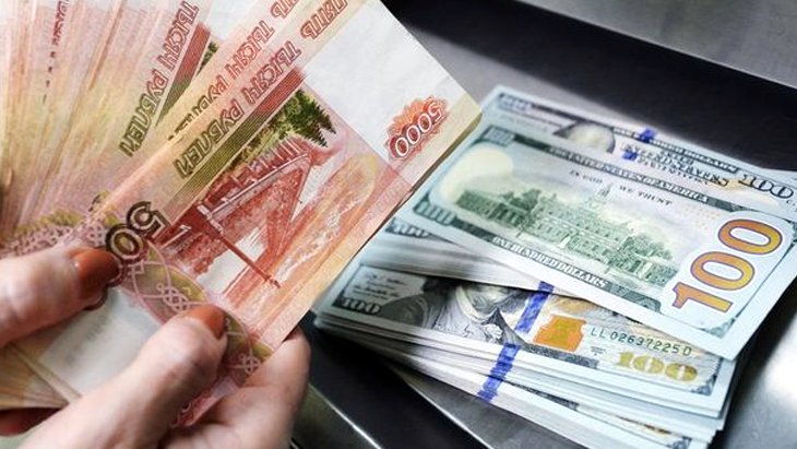 Rusya Merkez Bankası, döviz alımını durdurdu