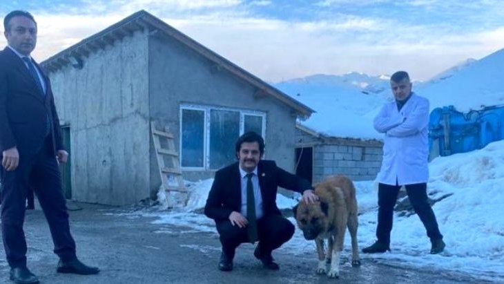 Vali Yardımcısı Kasımoğlu, şiddet gören iki köpeği sahiplendi