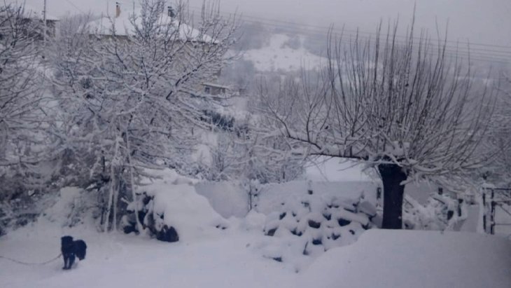 Kar yağışı Balkanlar üzerinden yurda giriş yaptı Edirne ve Kırklareli beyaz örtüyle kaplandı