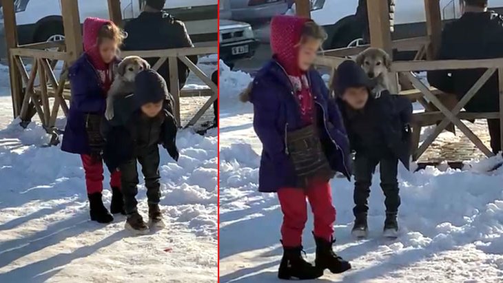 Yürek ısıtan görüntüler Küçük çocuk, yavru sokak köpeğini sırtında taşıyıp sahip çıktı