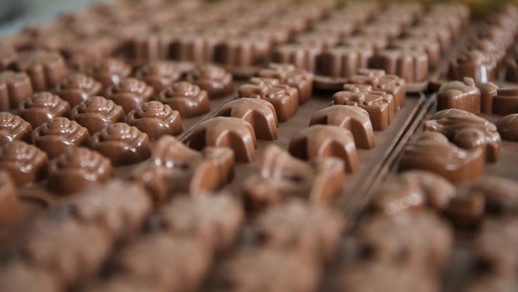Ülkeler kakao üretimini durdurdu Çikolataya dev zam gelebilir