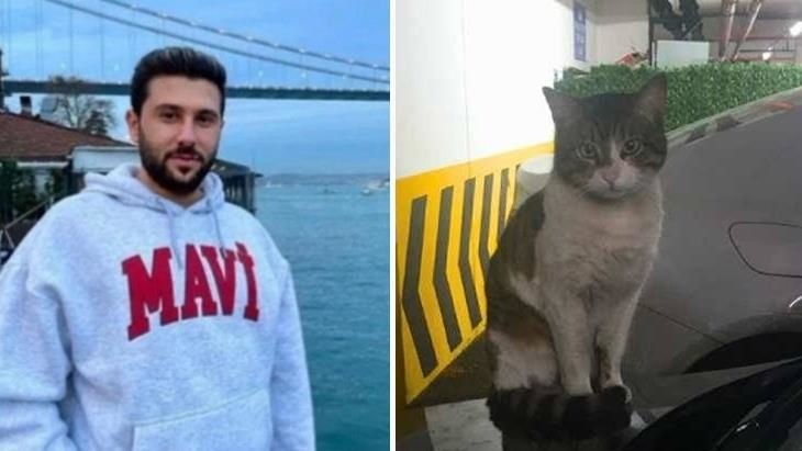 Başakşehir’de Kedi Öldüren Sanığın Cezasına İtiraz Edildi